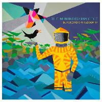 Record cover of BLACKBIRD"S PHILOSOPHY (LP) by the MIMIKOTO project