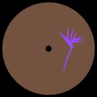 Record cover of INSOMNIAC 300  by Loopdeville