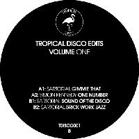 Record cover of TROPICAL DISCO EDITS, VOL. 1 by Various Artists