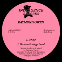 Record cover of DETACHMENT EP  by Raymond Owen