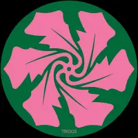 Record cover of ECHOING  by Verlake