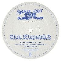 Record cover of SHAKE THAT THANG 12 by Alan Fitzpatrick