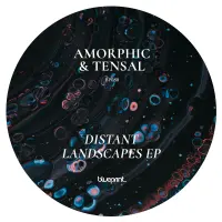 Record cover of DISTANT LANDSCAPES EP  by Amorphic & Tensal