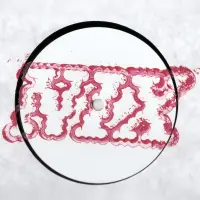 Record cover of SKIN EP  by Nathan Alexander