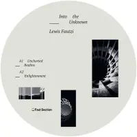 Record cover of INTO THE UNKNOWN  by Lewis Fautzi