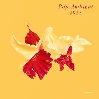 Record cover of POP AMBIENT 2023 by Various Artists