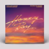 Record cover of HONEY BOY by Purple Disco Machine / Benjami