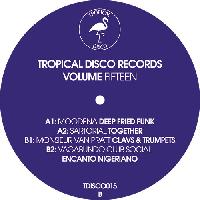 Record cover of TROPICAL DISCO RECORDS, VOL. 1 by Various Artists