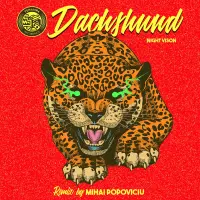 Record cover of NIGHT VISION (MIHAI POPOVICIU  by Dachshund
