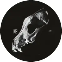 Record cover of BODY OF DIVINITY EP  by Oxygeno