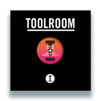 Record cover of TOOLROOM SAMPLER VOL. 21 by Various Artists