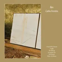 Record cover of FLUX (LP)  by Carlos Ferreira