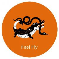 Record cover of COSMO COSMO by Feel Fly  