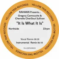 Record cover of IT IS WHAT IT IS  by Rahaan Presents... Gregory Car