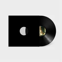 Record cover of CODE GREEN (180 GRAMS)  by Confusion