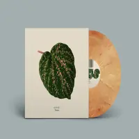 Record cover of TROPICS (12, PEACH MARBLE VINY by Quantic