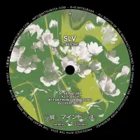 Record cover of SURFACING EP  by SLV
