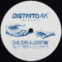 Record cover of OUR OWN ALGORITHM VOL.1 by Various Artists (Sound Synthes