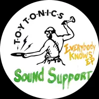 Record cover of EVERYBODY KNOWS EP  by Sound Support