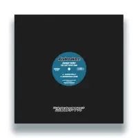 Record cover of THE LOST TAPES 2008 by Rainer Trueby