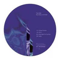 Record cover of EYES ADJUST TO THE DARK (BLUE  by Yan Cook