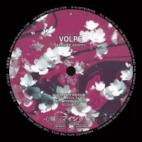 Record cover of SENSE OF IDENTITY EP  by Volpe