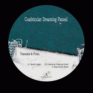 Record cover of CUARDICULAR DREAMING PANNEL by Translate,Pulso,Oscar Mulero