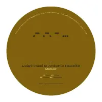 Record cover of MEMOIR (SILVER COLORED VINYL)  by Luigi Tozzi & Antonio Ruscito