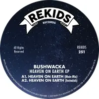 Record cover of HEAVEN ON EARTH EP  by Bushwacka!