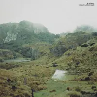 Record cover of DEN MAHLSTROM RAUF  by Acid Pauli