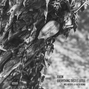 Record cover of EVERYTHING TASTES LITTLE by Fixon,Kessel,Fixeer