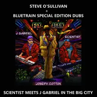 Record cover of FLY AGAIN (STEVE O' SULLI by Scientist Meets J Gabriel In T