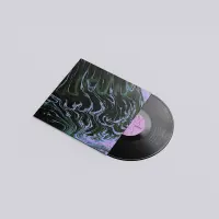 Record cover of EQUINOX EP (SILVER VINYL / PRI by Yan Cook