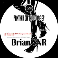 Record cover of PANTHER ON THE LOOSE E.P.  by Brian SNR