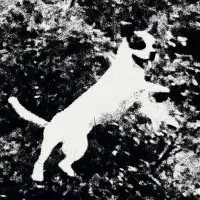Record cover of AZURA  by Edmondson