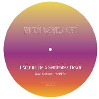 Record cover of I WANNA BE 5 SEMITONES DOWN by Unknown