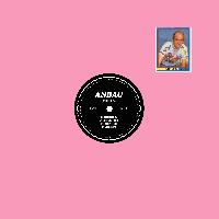 Record cover of MAGLIA ROSA by Anbau