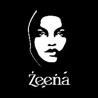 Record cover of ZEENA by Yaron Amor