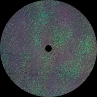 Record cover of TORMENT  by Bidoben