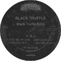 Record cover of GAMM EDITS by Black Truffle