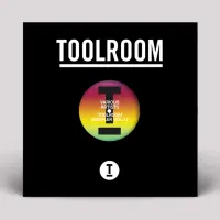 Record cover of TOOLROOM SAMPLER VOL. 12 by Mark Knight / James Hurr / Sha