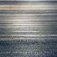 Record cover of SERá  by Ribé