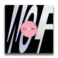 Record cover of WOLFEP083 by Tom Esselle 