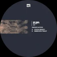 Record cover of STATUS.DENSITY / IMMERSION THR by Surface Access