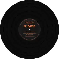 Record cover of DEEP HOUSE DAMAGE EP  by St. David