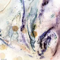 Record cover of EEEER (PRINTED SLEEVE)  by SHXCXCHCXSH