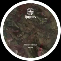Record cover of BAYOU  by birds ov paradise