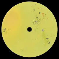 Record cover of 800  by 8004