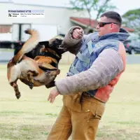 Record cover of BITE THE HAND THAT FEEDS YOU  by Hadone