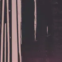 Record cover of SENTIMENTO  by Pierce